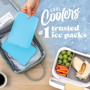 Best Cold Packs For Lunch Boxes