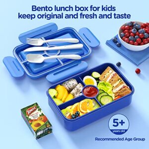 Best Lunchbox For Preschool