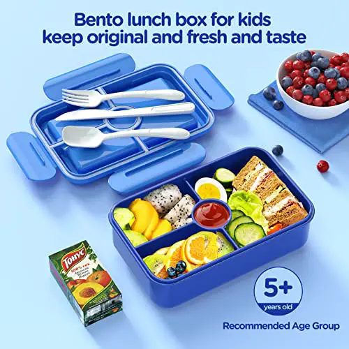 Best Lunchbox For Kindergarten