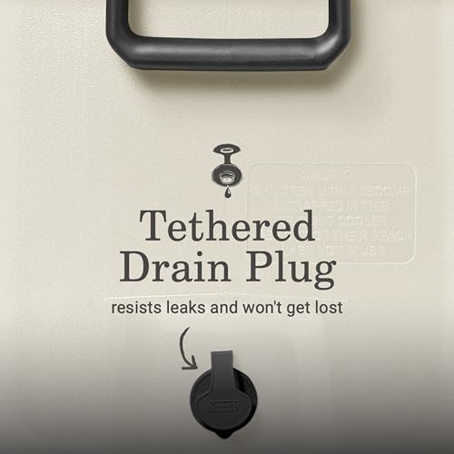 Best Cheap Cooler