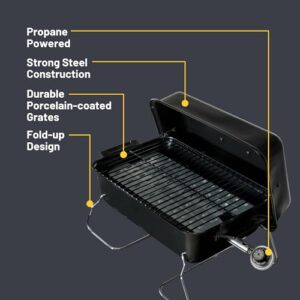 Best BBQ Grill Portable
