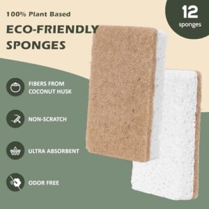 Best Dish Sponge Alternative