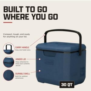 Best 30 Quart Cooler