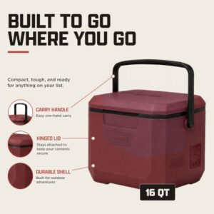 Best 16 Quart Cooler