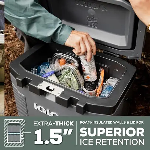 Best 25 Qt Cooler