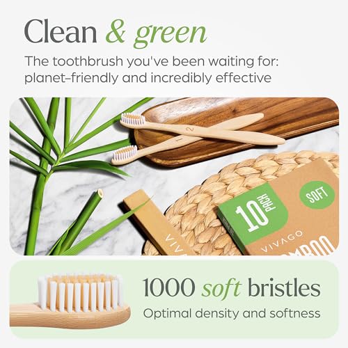 Best Bamboo Toothbrushes