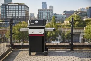 Best 2 Burner Grill