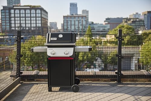 Best 2 Burner Grill
