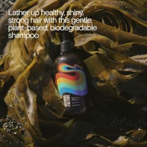 Best Biodegradable Shampoo
