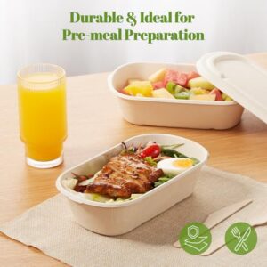 Best Eco Friendly Containers
