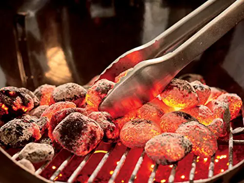 Best Budget Barbeque Grill