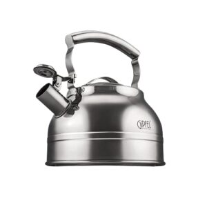 Best Gas Hob Kettle