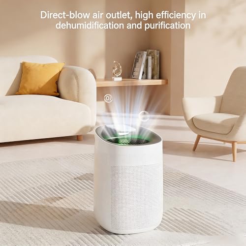 Best Air Purifier And Dehumidifier All In One