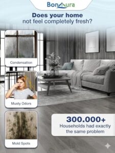 Best Dehumidifier Non Electric