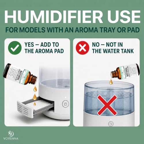 Best Humidifier For Upper Respiratory Infection