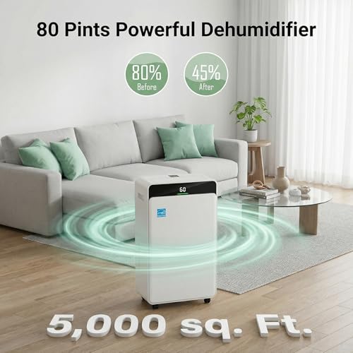 Best Dehumidifier With Large Tank