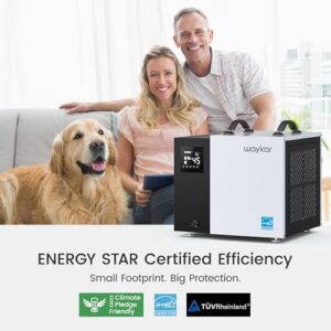Best 70 Pint Dehumidifier With Pump