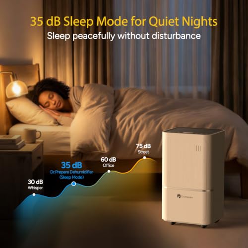 Best Dehumidifier For Drying Clothes