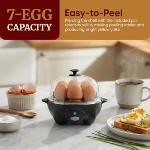 Best Egg Boiler And Omelette Maker