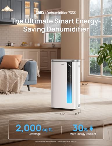 Best Dehumidifier Cold Room