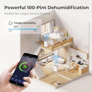 Best Dehumidifier Under 100