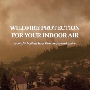 Best Air Purifier For Allergies And Dust