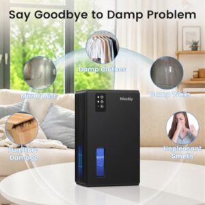 Best 1000 Sq Ft Dehumidifier