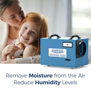 Best Crawlspace Dehumidifier