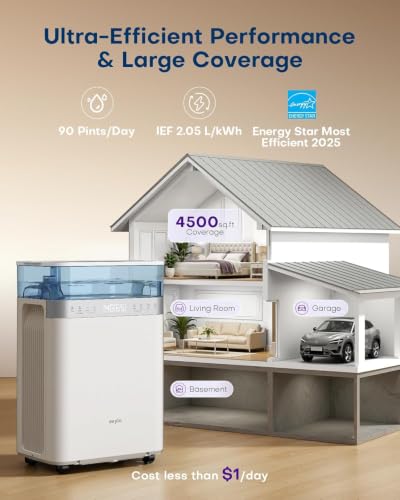 Best Dehumidifier Basement With Pump