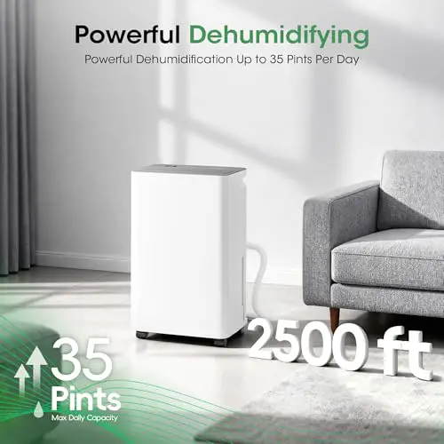 Best Dehumidifier For 500 Sq Ft Basement