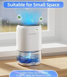 Best Bathroom Dehumidifier Fan