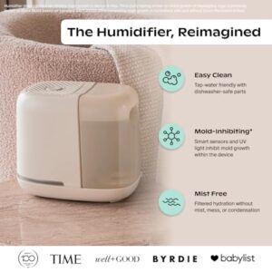 Best Bedside Humidifier For Skin