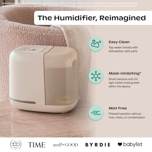 Best Bedside Humidifier For Skin