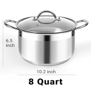 Best Stainless Steel Pot