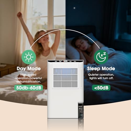 Best 2000 Sq Ft Dehumidifier