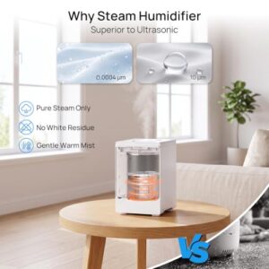 Best Hot Steam Humidifier