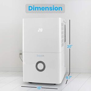 Best Dehumidifier For 900 Square Feet