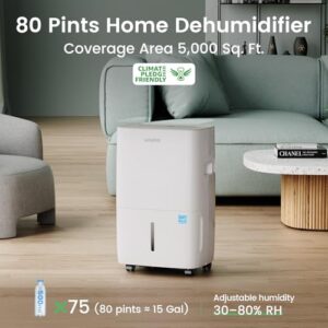 Best Brand Dehumidifier For Basement