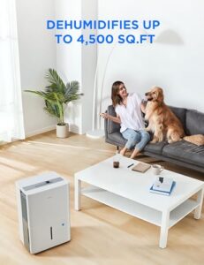 Best 50 Pint Dehumidifier For Basement