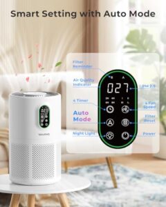 Best Air Filter For Wildfire Smoke