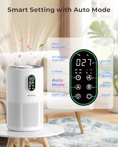 Best Air Filter For Wildfire Smoke