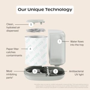 Best Nursery Humidifier