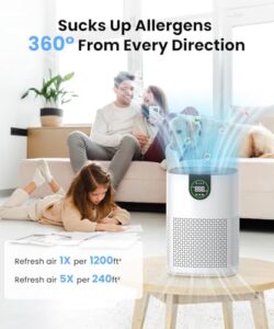 Best Air Filter For Basement