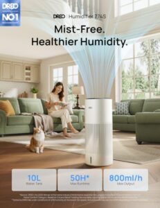 Best Humidifier For High Altitude