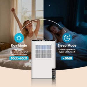 Best Portable Dehumidifier For Basement