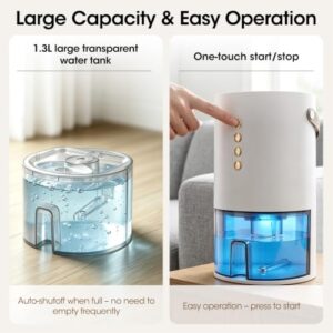 Best Dehumidifier Made In USA