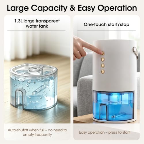 Best Dehumidifier Made In USA
