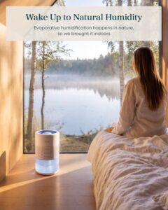 Best Evaporative Humidifier