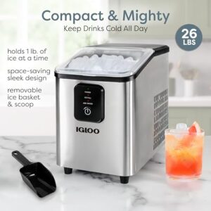 Best Igloo Ice Maker