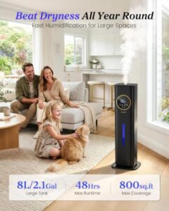 Best Home Room Humidifiers